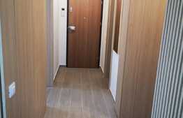 Apartament de 3 camere, la cheie, terasă de 33 mp, 2 băi, zona Carpaților