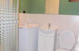 1 camera, 23 mp, mobilat modern, recent renovat, strada Horea