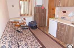 1 camera, 23 mp, mobilat modern, recent renovat, strada Horea