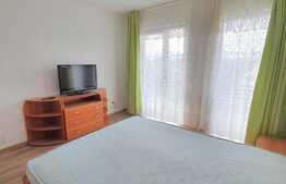 Oportunitate! Apartament 2 camere, 52 mp, etaj intermediar, parcare, Intre Lacuri!