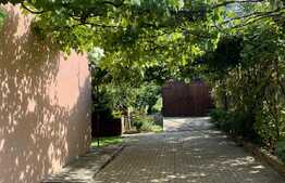 Casa de vanzare, teren 244 mp, 100 mp, zona Andrei Muresanu