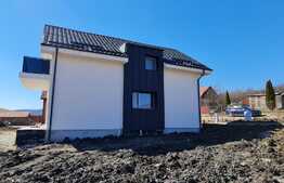 Exclusiv! Casa individuala, in zona cu suprafata plana, Dezmir