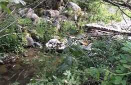 Oportunitate! Teren intravilan 600 mp, Maguri-Racatau, sit Natura 2000 