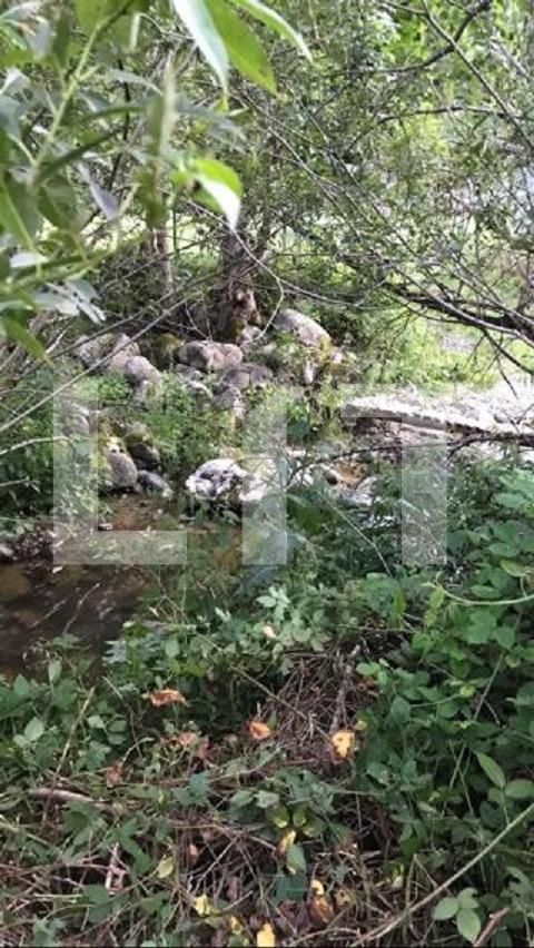 Teren de vânzare Exterior Vest - 82764TV | BLITZ Cluj-Napoca | Poza5