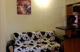 Apartament 1 camera, 33 mp cu loc de parcare in curte, zona Casei de Cultura