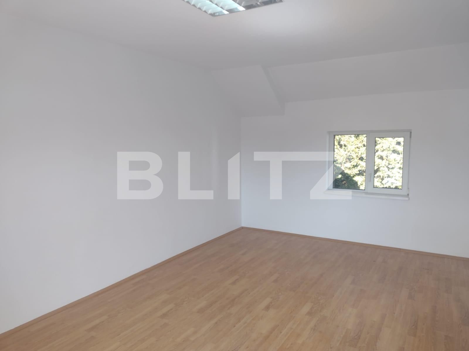Spațiu birouri de închiriat Dambul Rotund - 82800SIB | BLITZ Cluj-Napoca | Poza4