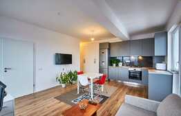 Apartament de 2 camere, terasa 14 mp, panoramă deosebită!