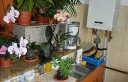 Vanzare apartament 1 camera, 25 mp utili, zona Iulius Mall, cu boxa si parcare