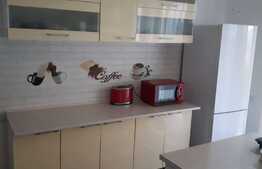 Apartament in vila 4 camere, decomandat, 120 mp si gradina 125 mp in zona Sub Cetate