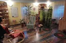 Garsoniera la casa, 32 mp, Centrul Civic