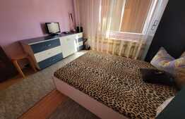 Apartament 2 camere, decomandat, etaj intermediar, 48 mp, zona Expo Transilvania