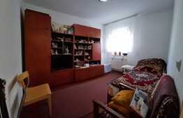 Apartament 2 camere, 46 mp, utilat si mobilat, zona Muzeul Apei
