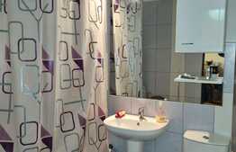 Apartament 2 camere, 46 mp, utilat si mobilat, zona Muzeul Apei