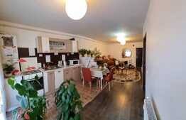 Apartament 2 camere, 46 mp, utilat si mobilat, zona Muzeul Apei