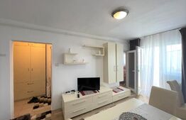 Garsoniera 24 mp,  recent renovata,  zona strazii Cojocnei