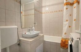 Garsoniera 24 mp,  recent renovata,  zona strazii Cojocnei