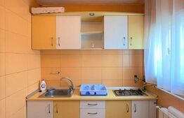 Garsoniera 24 mp,  recent renovata,  zona strazii Cojocnei