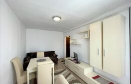 Garsoniera 24 mp,  recent renovata,  zona strazii Cojocnei