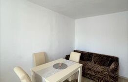 Garsoniera 24 mp,  recent renovata,  zona strazii Cojocnei