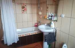 Apartament 3 camere, 70 mp, la cheie, zona Muzeul Apei