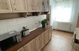 Apartament 2 camere, 60 mp, decomandat, complet renovat