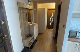 Apartament 2 camere, 60 mp, decomandat, complet renovat