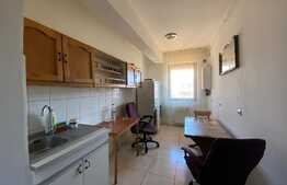Apartament 2 camere, 76 mp, pet friendly, zona Primariei