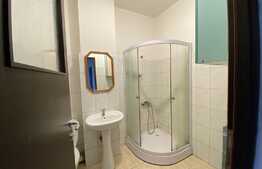 Apartament 2 camere, 76 mp, pet friendly, zona Primariei