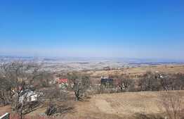  Casa cuplata,200 mp utili, 500 mp teren,zona linistita,panorama
