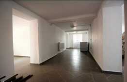 Apartament 4 camere, decomandat, 3 intrari, curte privata, 139 mp