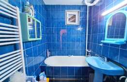 Apartament 3 camere, 60 mp, etaj intermediar, finisat, zona Horea 