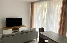 Garsoniera de 40 mp, parcare, lux, zona strazii Buna Ziua