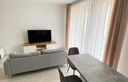 Garsoniera de 40 mp, parcare, lux, zona strazii Buna Ziua