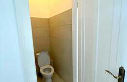 Apartament boem, tavan inalt, 74 mp, acces la gradina, zona Paris