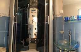 Apartament de 1 camera, gradina, 2 parcari, zona strazii Maramuresului