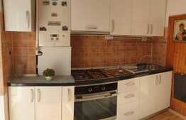 Apartament de 1 camera, gradina, 2 parcari, zona strazii Maramuresului