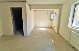 Apartament de 2 camere, 46 mp, zona Terra