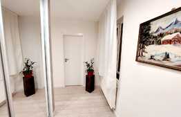 Apartament 3 camere, 65 mp, etaj intermediar, zona Muzeul Apei