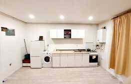 Apartament 3 camere, 65 mp, etaj intermediar, zona Muzeul Apei