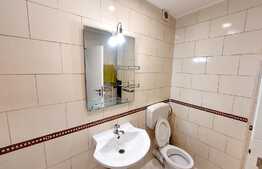 Apartament 3 camere, 65 mp, etaj intermediar, zona Muzeul Apei