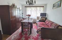 Apartament de 2 camere, 54 mp utili, etaj intermediar, zona Brancusi