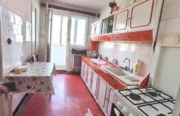 Apartament de 2 camere, 54 mp utili, etaj intermediar, zona Brancusi