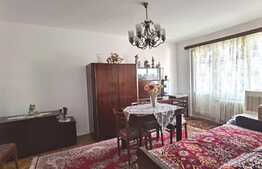 Apartament de 2 camere, 54 mp utili, etaj intermediar, zona Brancusi