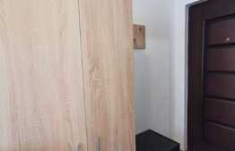 Garsoniera de 11 mp, pet friendly, zona strazii Lacramioarelor 