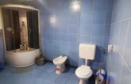 Casa de 180 mp utili si 300 mp teren, imobil nou, in Cristian