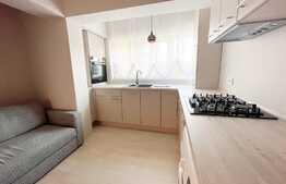 Apartament superb de 2 camere, 47 mp, zona străzii Frunzișului 