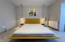 Apartament superb de 2 camere, 47 mp, zona străzii Frunzișului 