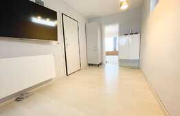 Apartament superb de 2 camere, 47 mp, zona străzii Frunzișului 