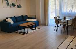 Apartament 2 camere, 52 mp, terasa, garaj, zona Teilor