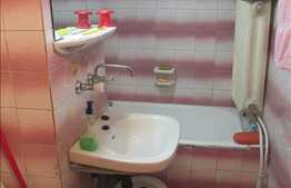 Vanzare apartament 3 camere, 46,20 mp, zona Aleea Ciucas